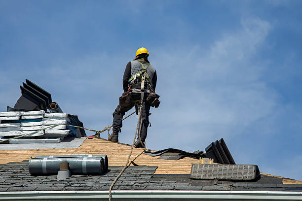 Professional Roof Replacement technician working in Everglades City, FL